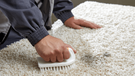 Professional Rug Cleaning Bayswater