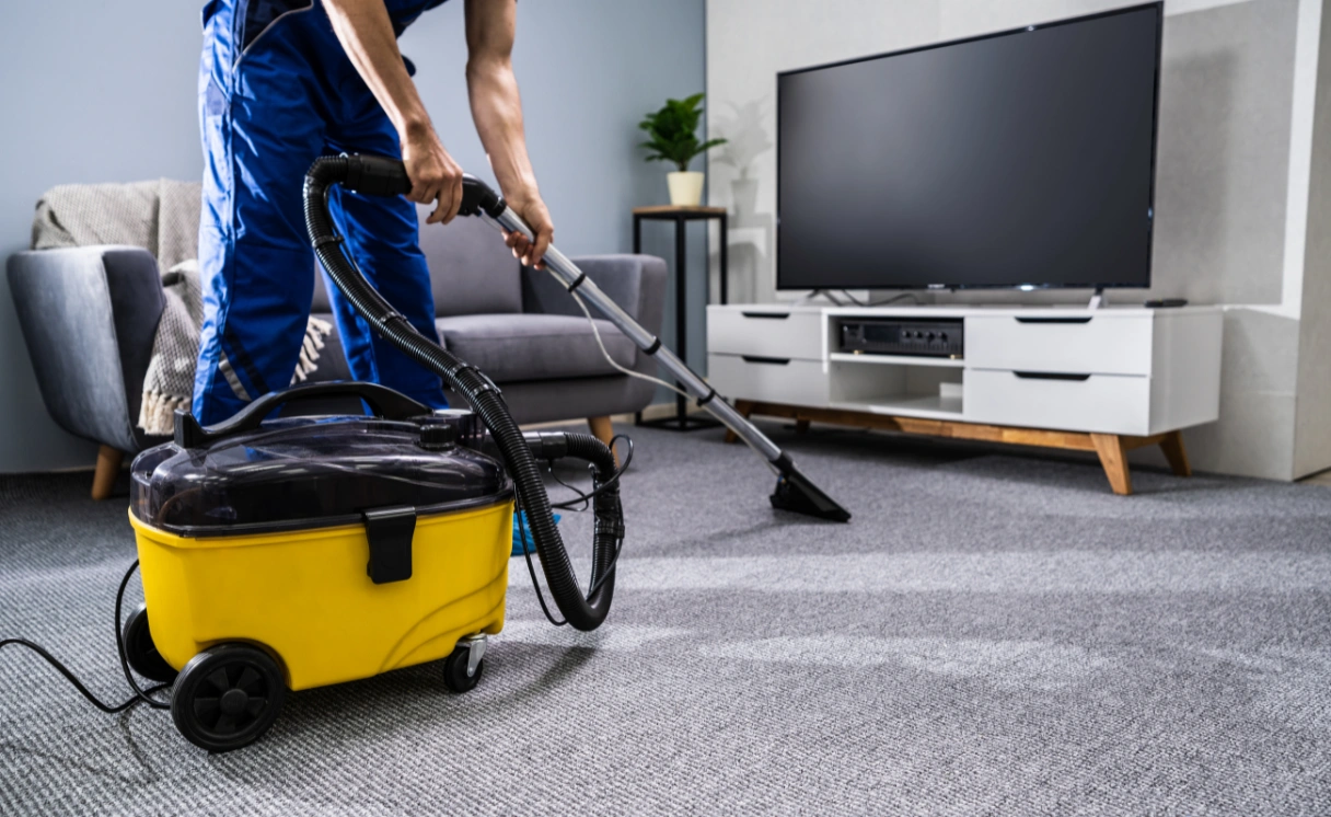 Extract Rug Cleaning Bayswater Contact Office